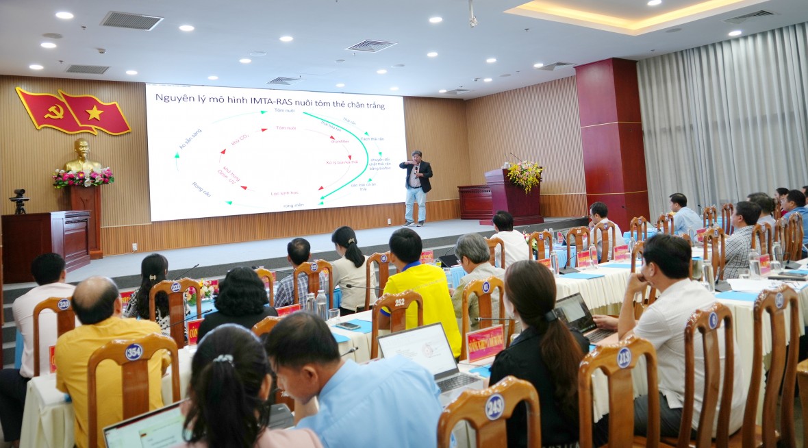 Cà Mau: Nhân rộng mô hình nuôi tôm công nghệ cao RAS-IMTA quy mô 1.500 ha Cà Mau: Nhân rộng mô hình nuôi tôm công nghệ cao RAS-IMTA quy mô 1.500 ha