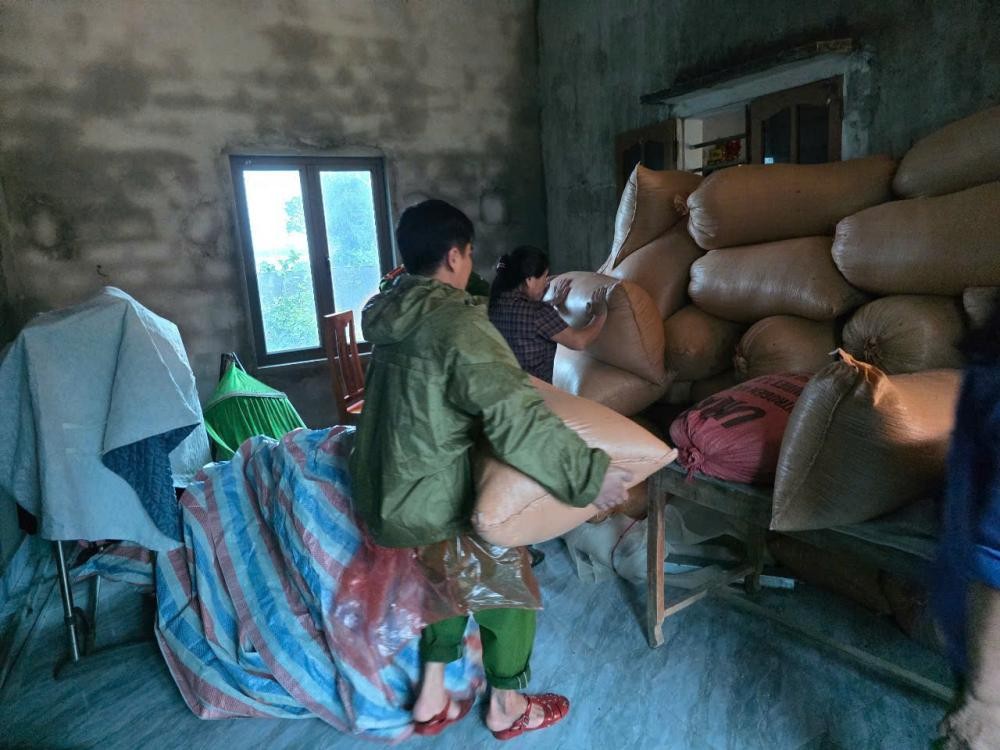 Hỗ trợ người dân di chuyển lúa lên nơi khô ráo.