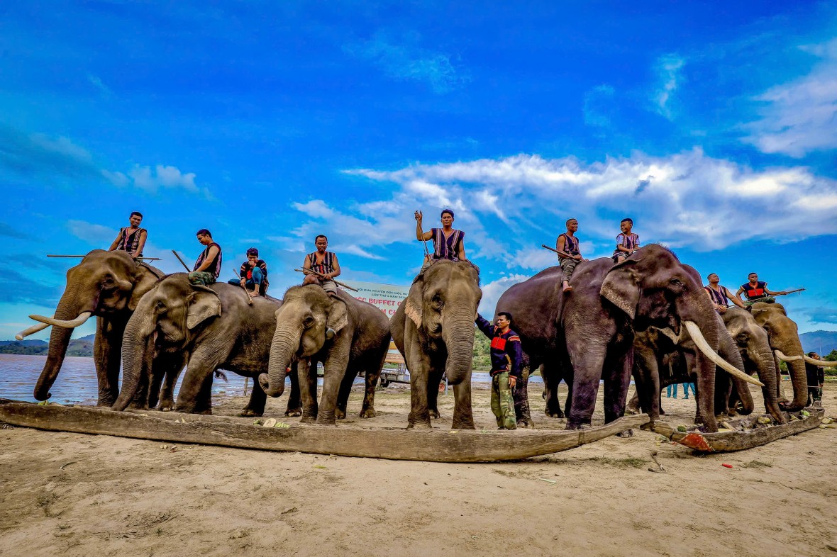 Lễ cúng sức khỏe cho voi - nét văn hóa riêng nơi đại ngàn Tây Nguyên
