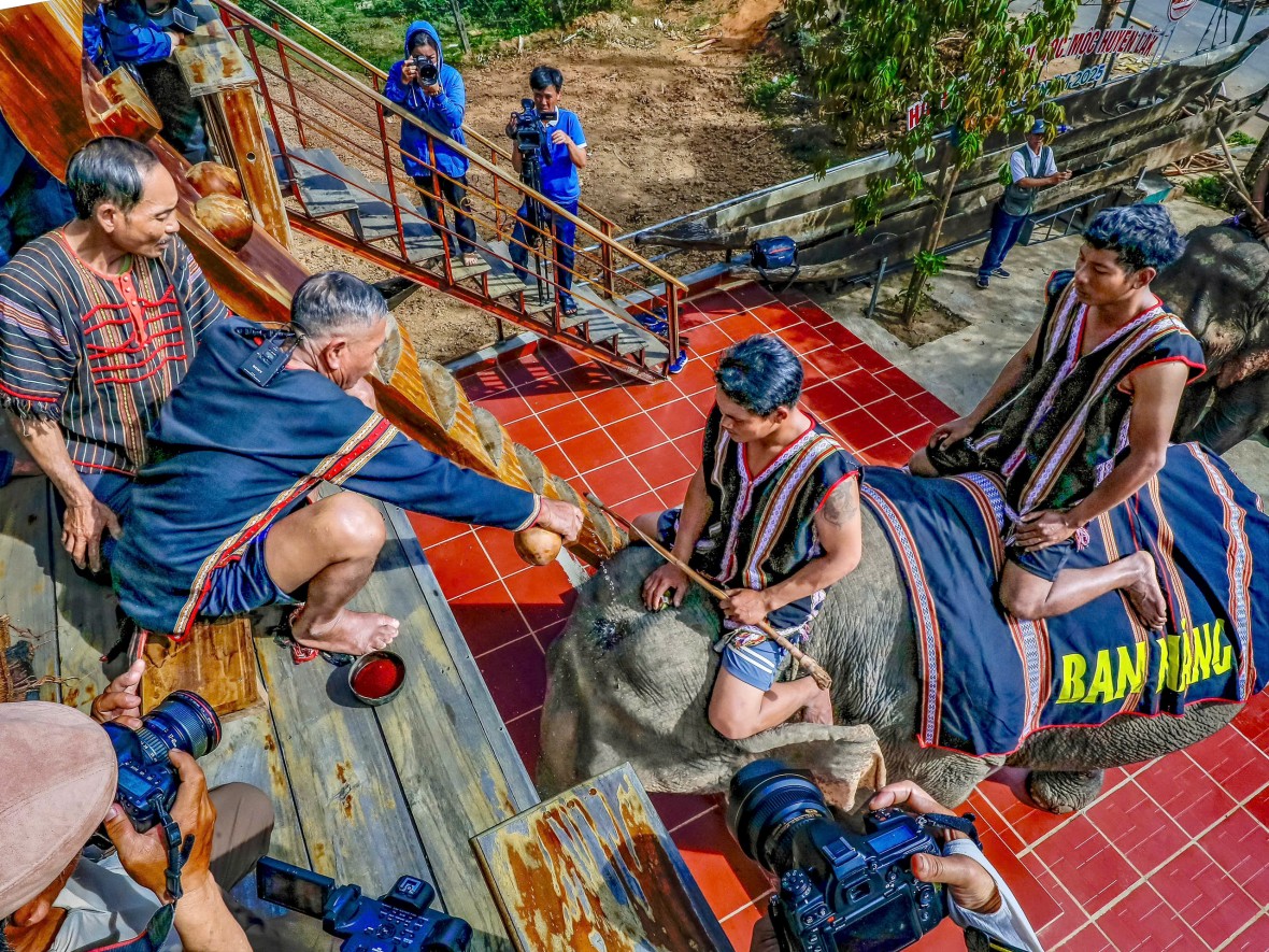 Lễ cúng sức khỏe cho voi - nét văn hóa riêng nơi đại ngàn Tây Nguyên