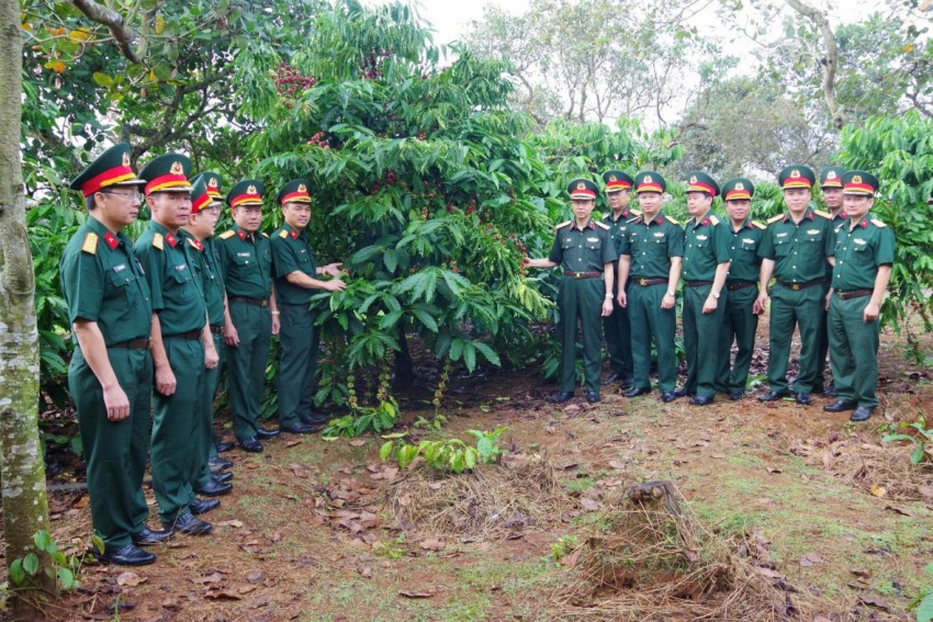 Thiếu tướng Phạm Bá Hiền, Tư lệnh Binh đoàn 16 và đoàn công tác kiểm tra sản xuất kinh doanh tại Trung đoàn 719. Thiếu tướng Phạm Bá Hiền, Tư lệnh Binh đoàn 16 và đoàn công tác kiểm tra sản xuất kinh doanh tại Trung đoàn 719.