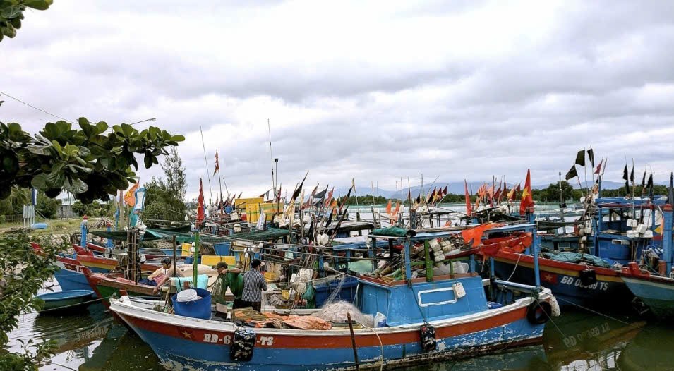 Gia Lai: Kich hoạt hệ thống phòng, chống thiên tai ứng phó bão Kalmaegi