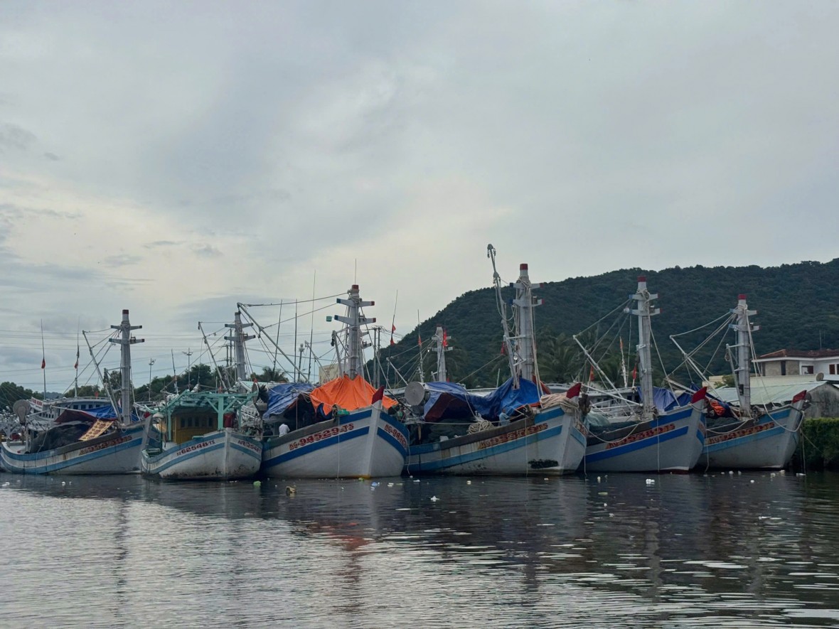 Đặc khu Phú Quốc mở cao điểm xử lý tàu cá “3 không”, quyết tâm chống khai thác IUU Đặc khu Phú Quốc mở cao điểm xử lý tàu cá “3 không”, quyết tâm chống khai thác IUU