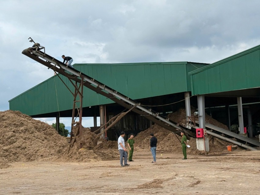 Yêu cầu doanh nghiệp tạm dừng hoạt động sau khi xảy ra tai nạn khiến 1 người tử vong Yêu cầu doanh nghiệp tạm dừng hoạt động sau khi xảy ra tai nạn khiến 1 người tử vong