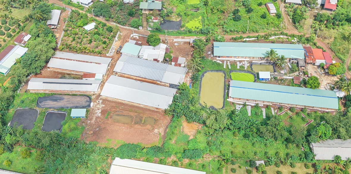 Đồng Nai: Trại heo vẫn “bốc mùi” sau khi được chính quyền kiểm tra