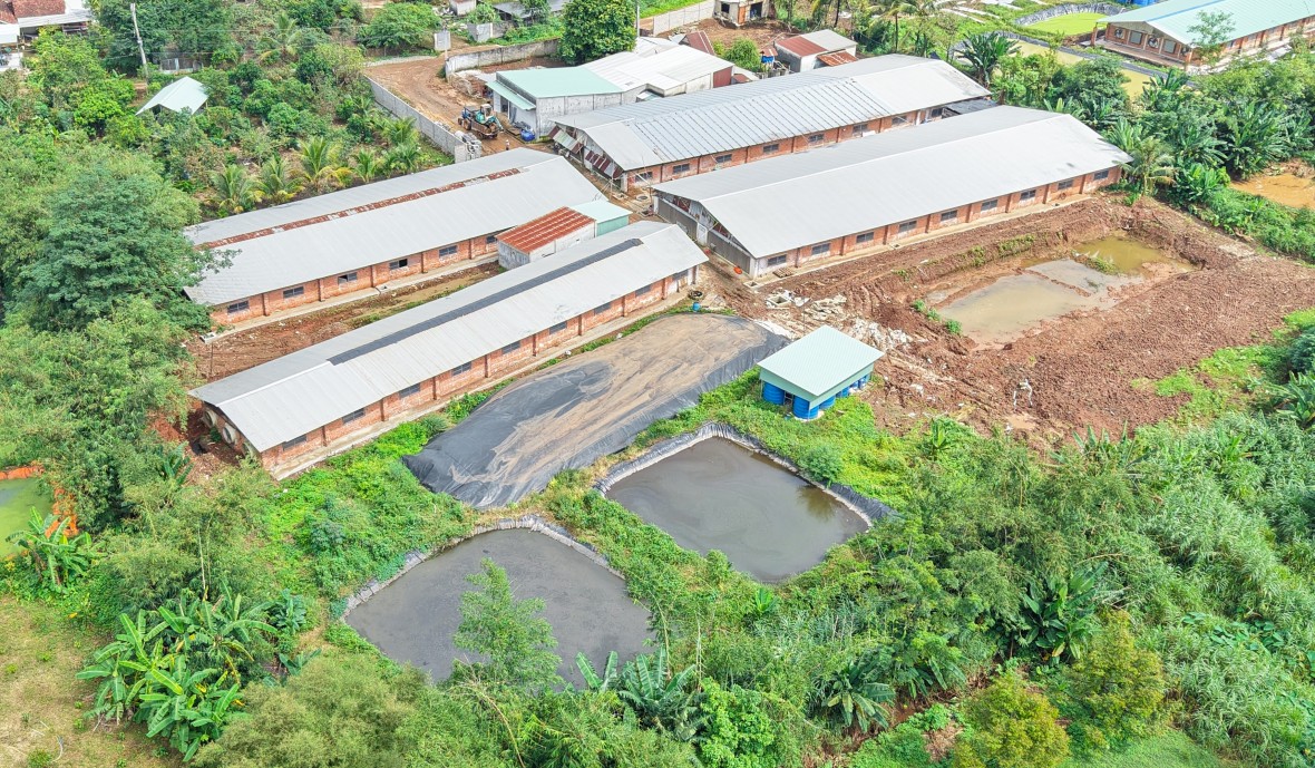 Đồng Nai: Trại heo vẫn “bốc mùi” sau khi được chính quyền kiểm tra