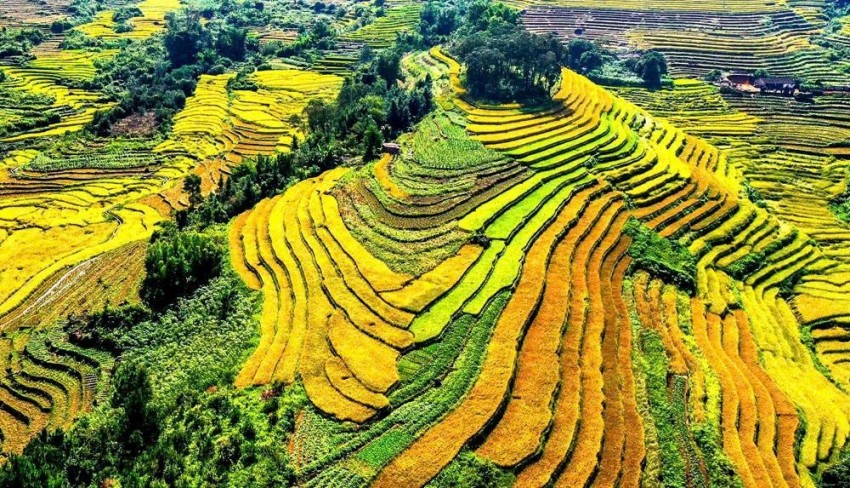 Miễn thuế đất nông nghiệp đến 2030 Miễn thuế đất nông nghiệp đến 2030