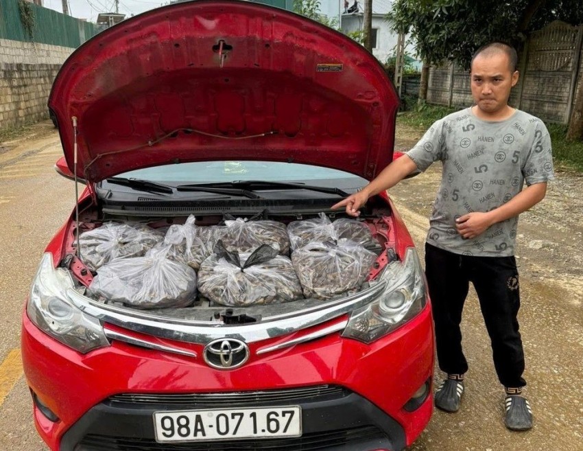 Cao Bằng liên tiếp phát hiện, thu giữ gần 1 tấn cau khô