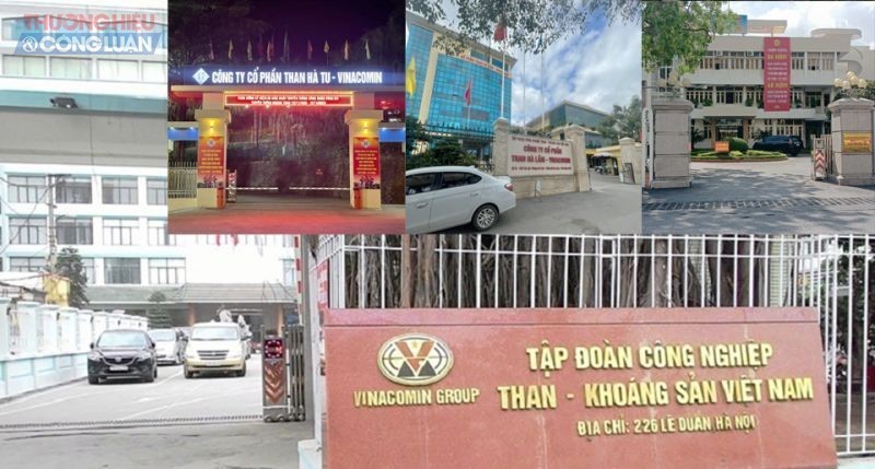 Quy định việc sáp nhập 2 công ty con vào Công ty mẹ - Tập đoàn Công nghiệp Than - Khoáng sản Việt Nam