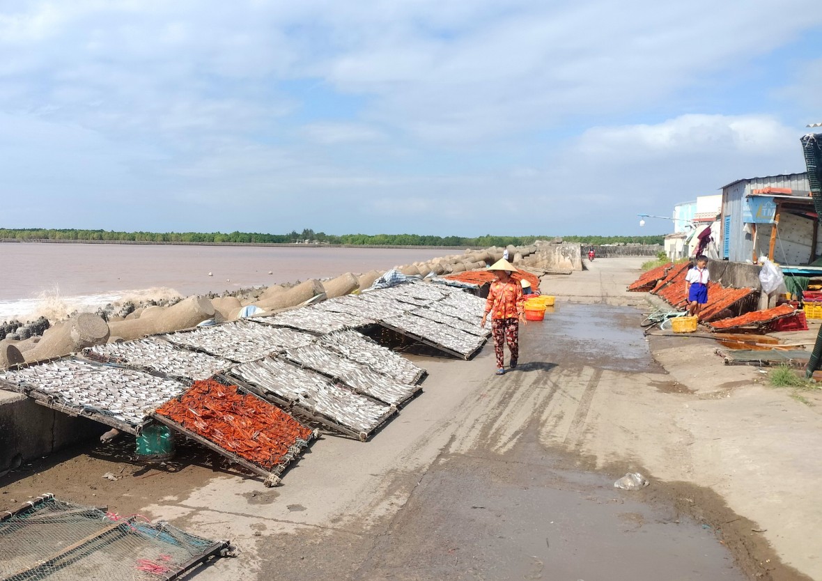 Cà Mau triển khai Đề án hỗ trợ sinh kế, hướng tới giảm nghèo bền vững giai đoạn 2025 – 2027 Cà Mau triển khai Đề án hỗ trợ sinh kế, hướng tới giảm nghèo bền vững giai đoạn 2025 – 2027