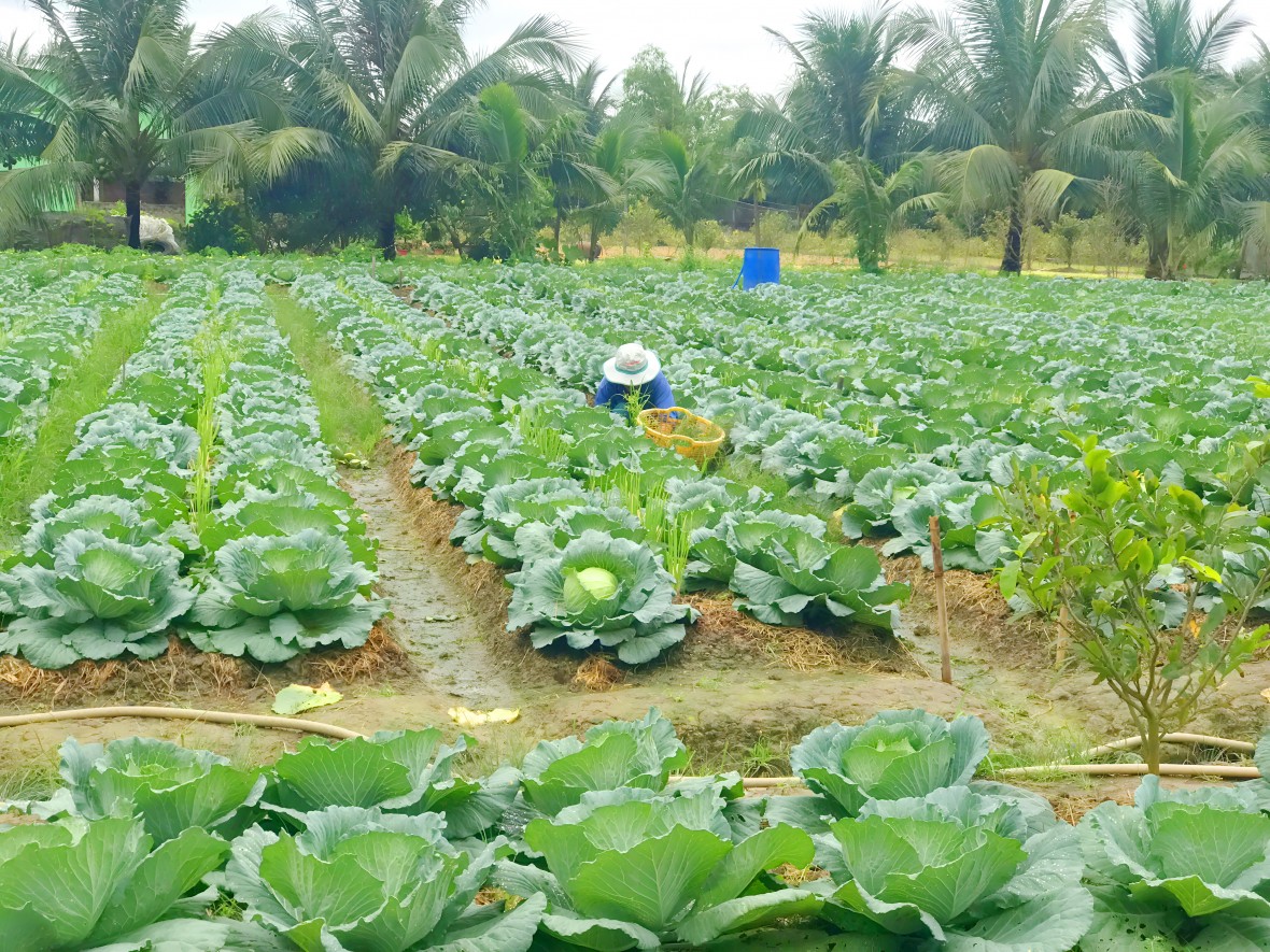 Cà Mau triển khai Đề án hỗ trợ sinh kế, hướng tới giảm nghèo bền vững giai đoạn 2025 – 2027 Cà Mau triển khai Đề án hỗ trợ sinh kế, hướng tới giảm nghèo bền vững giai đoạn 2025 – 2027