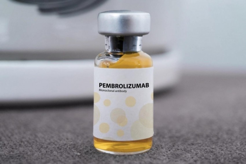 Thuốc Pembroria có hoạt chất chính là Pembrolizumab.