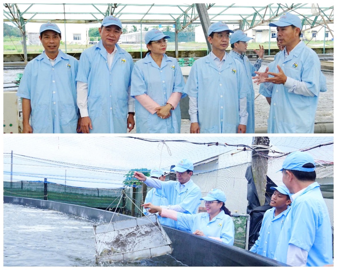 Cà Mau chuẩn bị kịch bản tăng trưởng hai con số năm 2026 Cà Mau chuẩn bị kịch bản tăng trưởng hai con số năm 2026