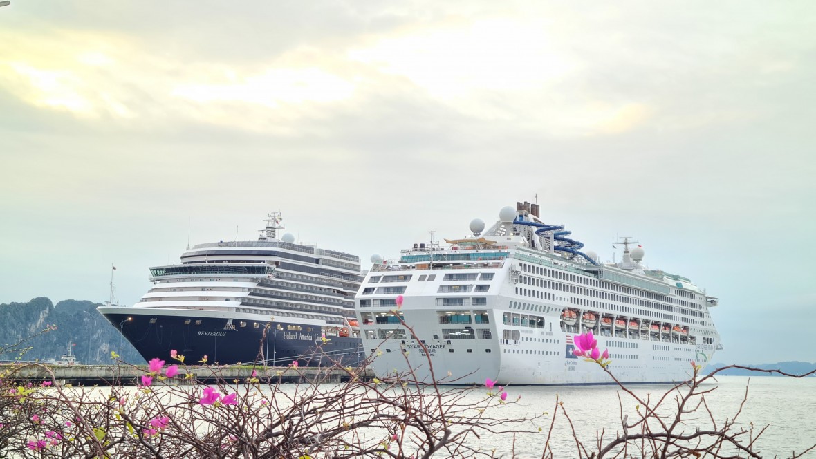 Hạ Long mở đầu mùa du lịch tàu biển 2025–2026 bằng loạt du thuyền quốc tế