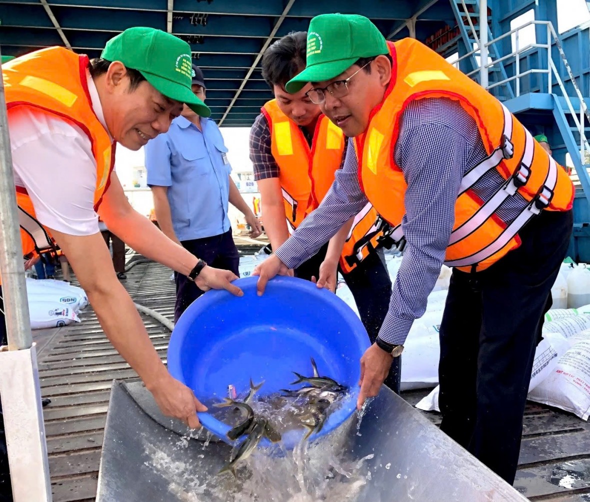 Thả hơn 215.000 con cá giống tái tạo nguồn lợi thủy sản tại ĐBSCL