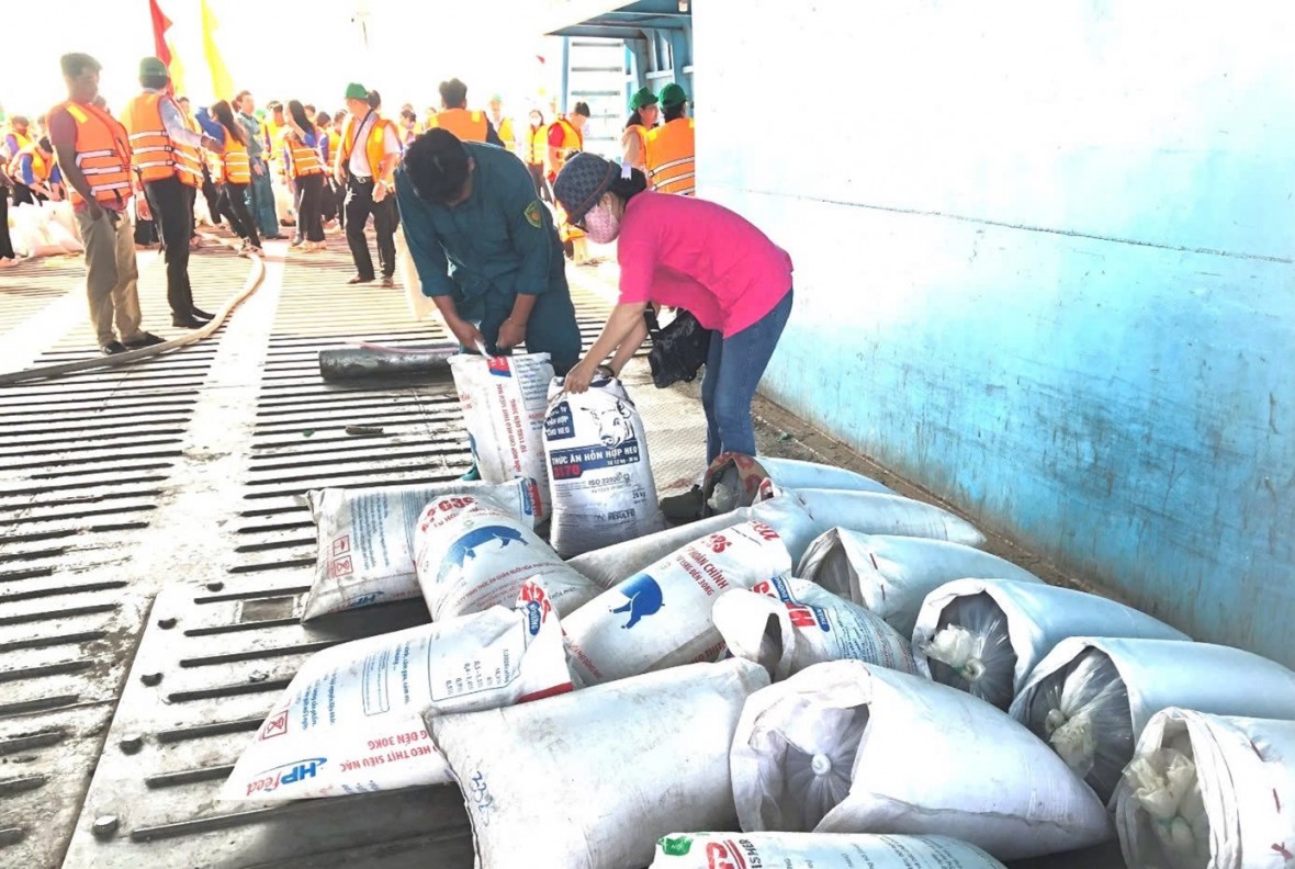 Thả hơn 215.000 con cá giống tái tạo nguồn lợi thủy sản tại ĐBSCL