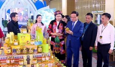 Tuyên Quang tổ chức Hội chợ OCOP với hơn 100 gian hàng đặc sản vùng miền