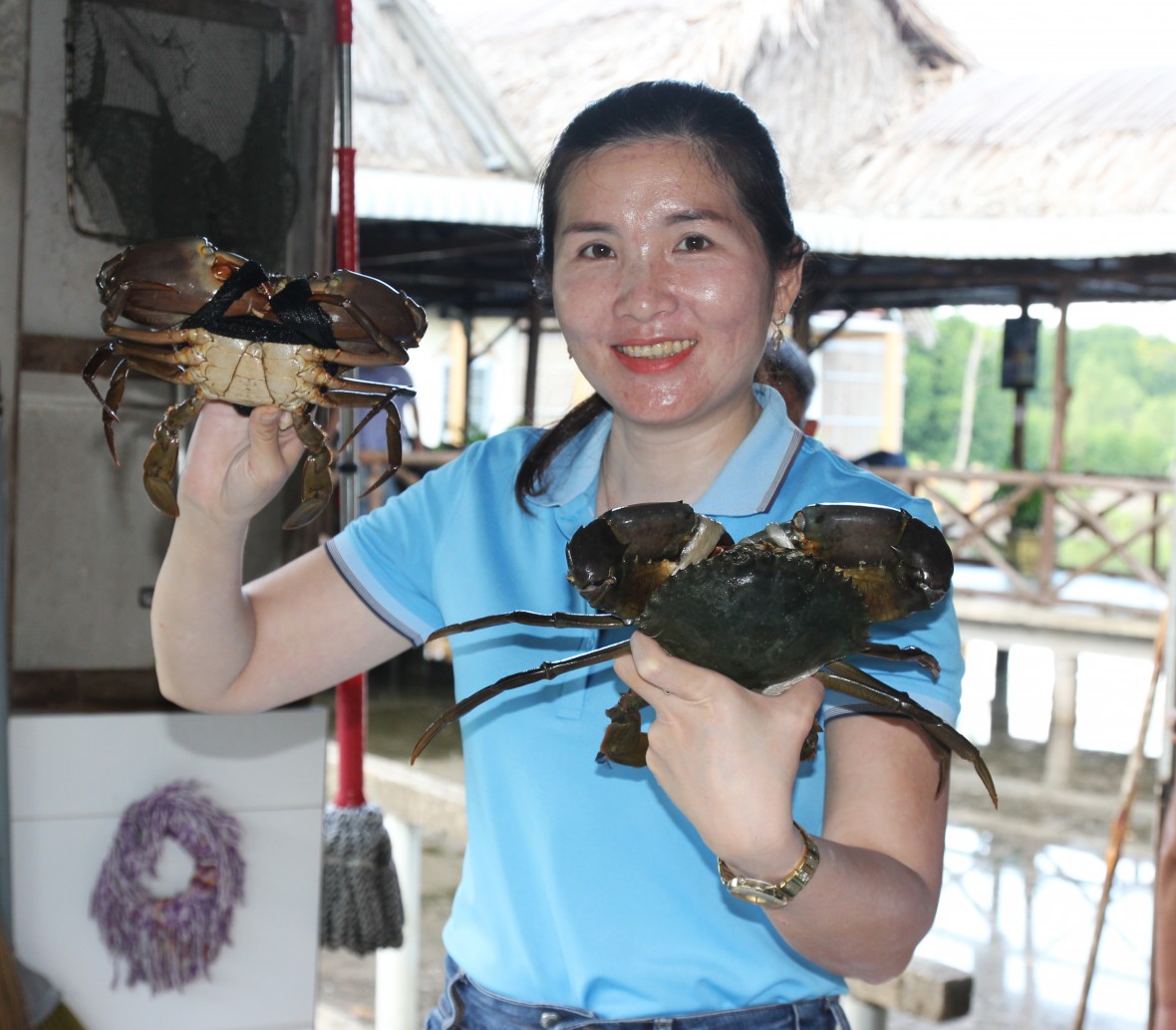 Cà Mau bàn giải pháp liên kết chuỗi, bảo vệ thương hiệu cua Cà Mau bàn giải pháp liên kết chuỗi, bảo vệ thương hiệu cua