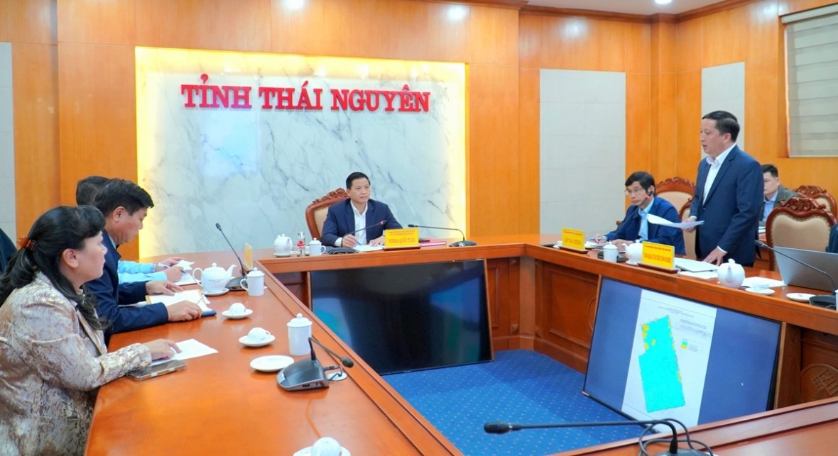 Toàn cảnh cuộc họp. (Ảnh: https:thainguyen.gov.vn