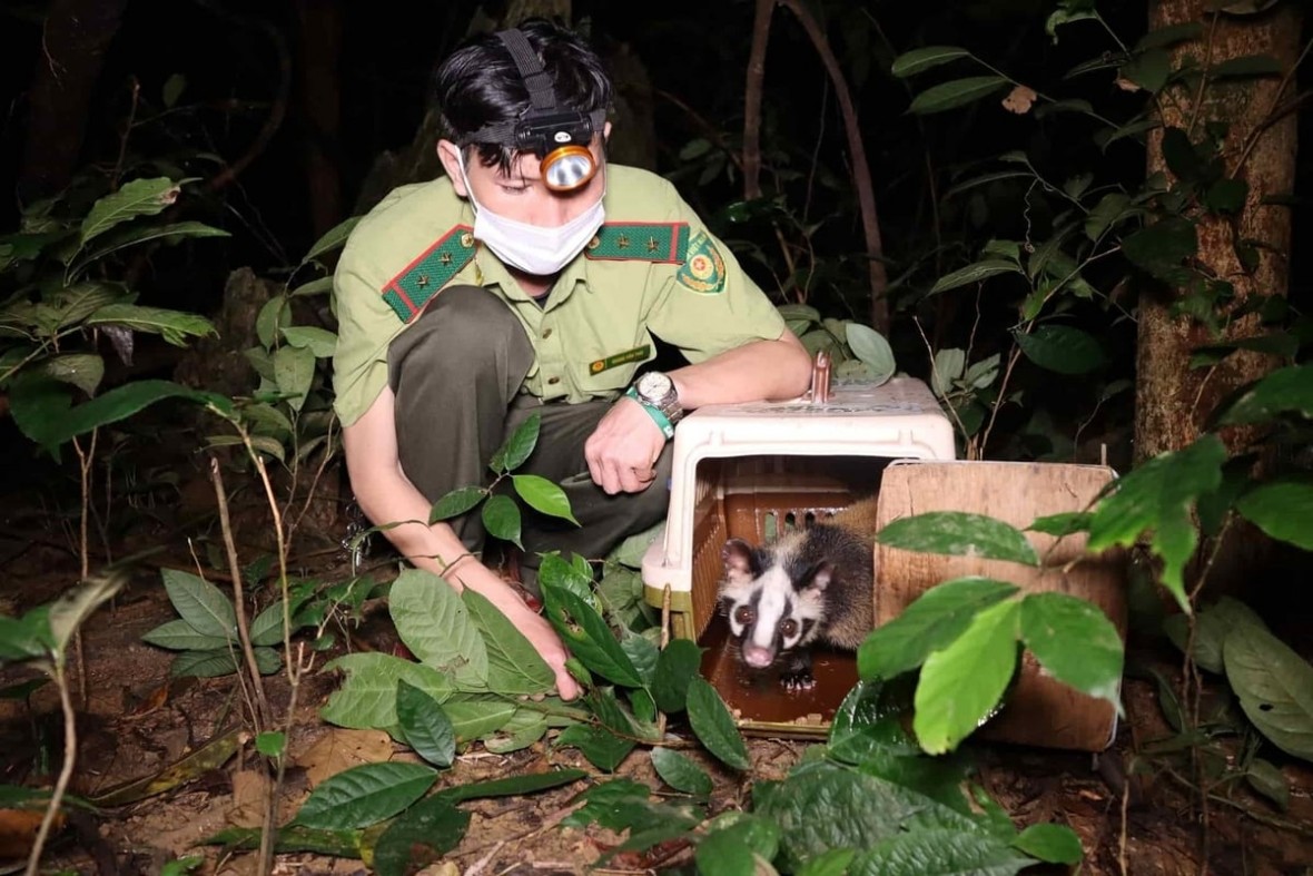 Đẩy mạnh thực thi pháp luật, tuyên truyền, phổ biến công tác bảo tồn đa dạng sinh học và bảo vệ các loài hoang dã. Ảnh Đức Cường