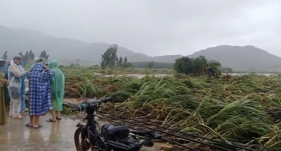 Gia Lai: Đề xuất di dời hơn 2.200 hộ dân khỏi vùng có nguy cơ thiên tai