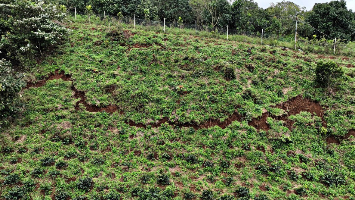 Lâm Đồng kích hoạt ứng phó khẩn cấp, di dời 30 hộ dân khi phát hiện nứt đất kéo dài trên đồi