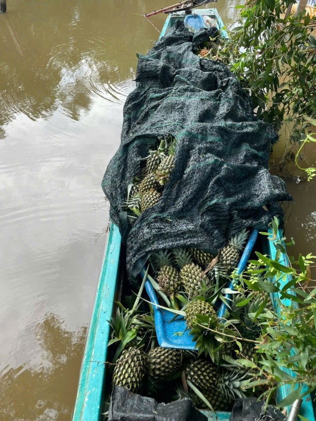 Khởi tố 4 đối tượng trộm trái khóm và xuồng nhựa ở Đồng Tháp