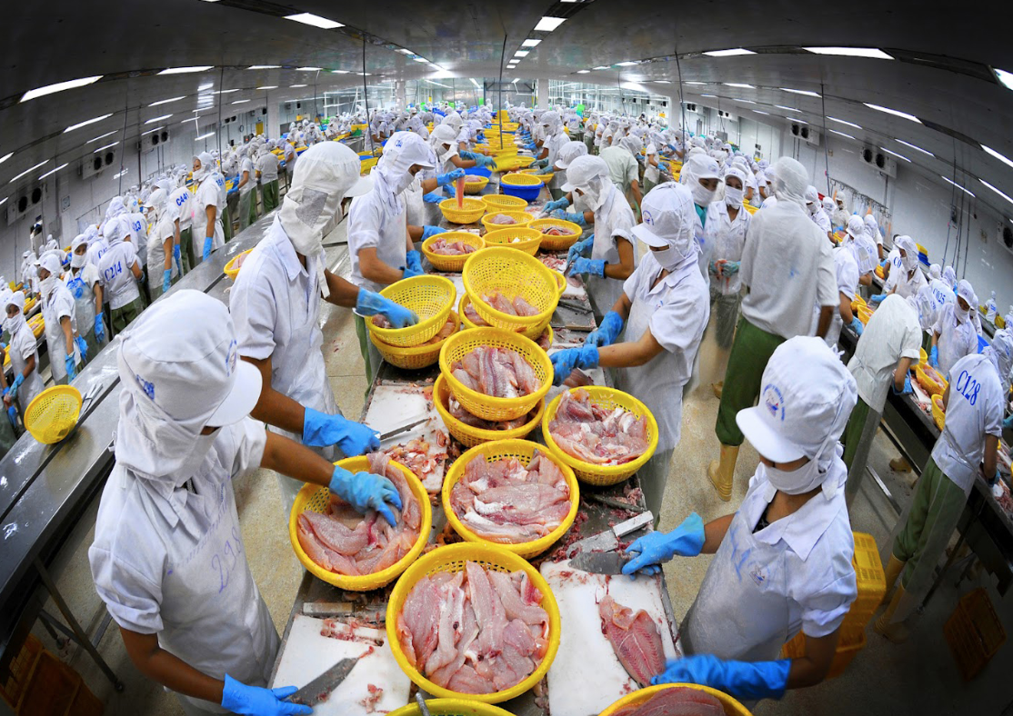 Xuất khẩu thủy sản 2025 hướng tới mốc 11 tỷ USD