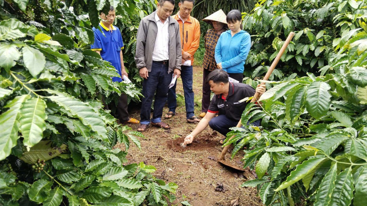 Nông dân tham gia Chương trình NESCAFÉ Plan được tập huấn phương pháp canh tác bền vững Nông dân tham gia Chương trình NESCAFÉ Plan được tập huấn phương pháp canh tác bền vững