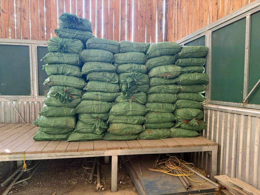 Cao Bằng phát hiện 2,4 tấn nguyên liệu thuốc lá không rõ nguồn gốc Cao Bằng phát hiện 2,4 tấn nguyên liệu thuốc lá không rõ nguồn gốc