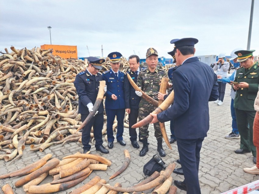 Chiến dịch Con rồng Mê Kông 7 đạt được nhiều kết quả nổi bật Chiến dịch Con rồng Mê Kông 7 đạt được nhiều kết quả nổi bật