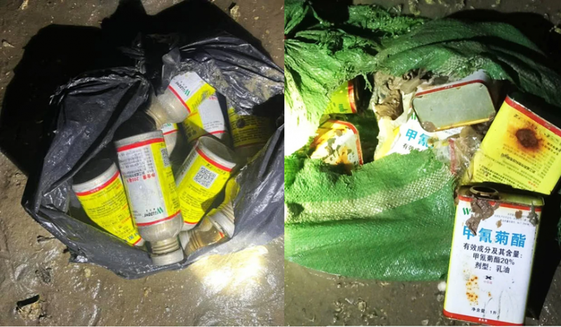 Quảng Ninh truy tìm nguồn hóa chất nghi hủy diệt thủy sản ven biển