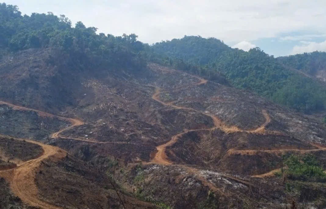 30 người ở Gia Lai lợi dụng thời điểm sáp nhập hành chính để tàn phá gần 95ha rừng