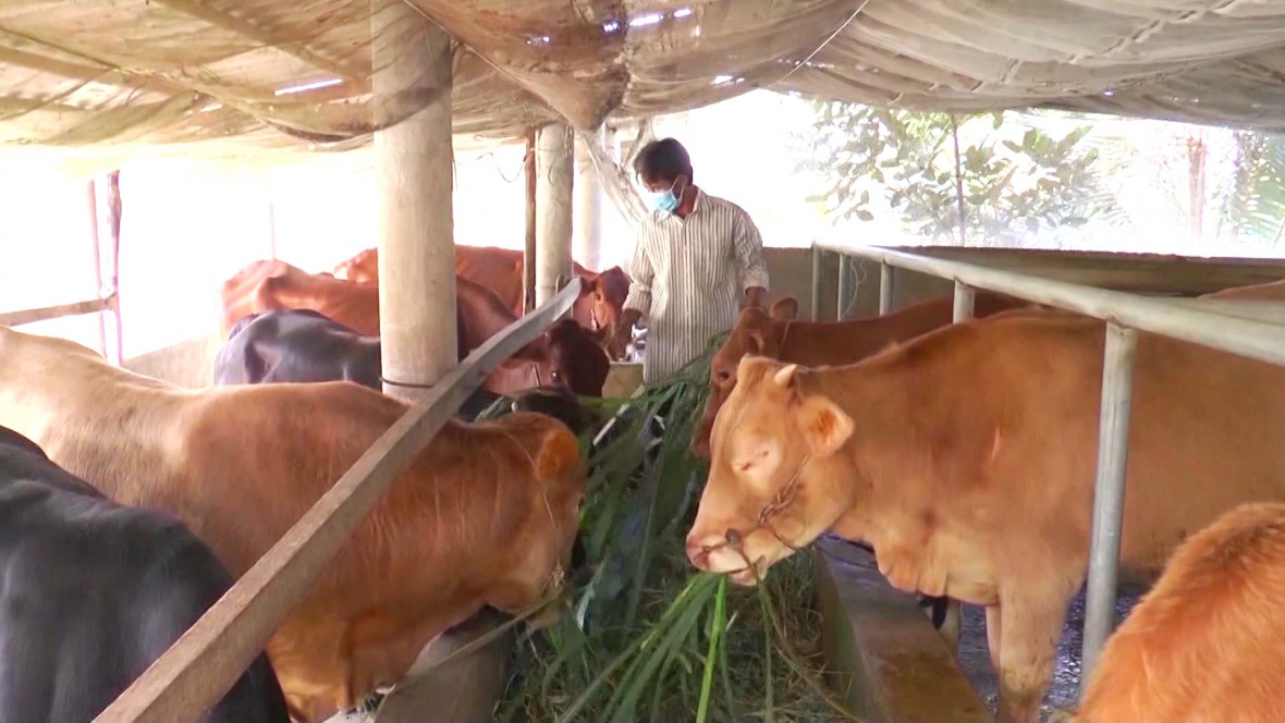 Cà Mau hướng tới giảm nghèo bền vững, không còn xã đặc biệt khó khăn vào năm 2030