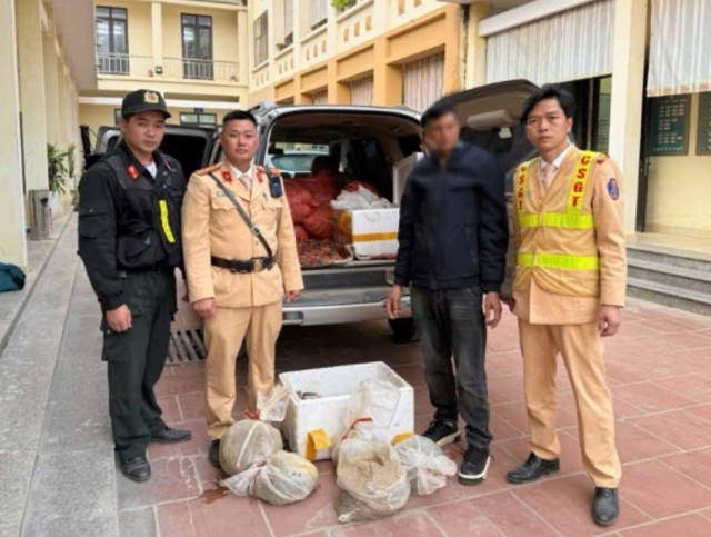 Cao Bằng: Phát hiện ô tô vận chuyển 12 cá thể tê tê trái phép