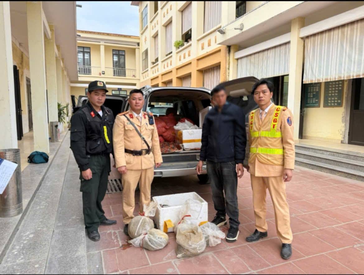 Cao Bằng: Phát hiện ô tô vận chuyển 12 cá thể tê tê trái phép