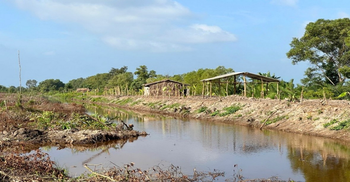 Xử lý nghiêm tình trạng chiếm đất rừng trái phép ở Cà Mau Xử lý nghiêm tình trạng chiếm đất rừng trái phép ở Cà Mau