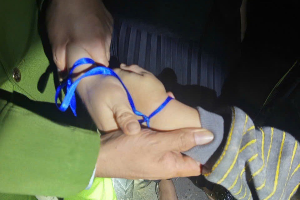 Hải Phòng: Kịp thời ngăn chặn 2 mẹ con nhảy cầu tự tử