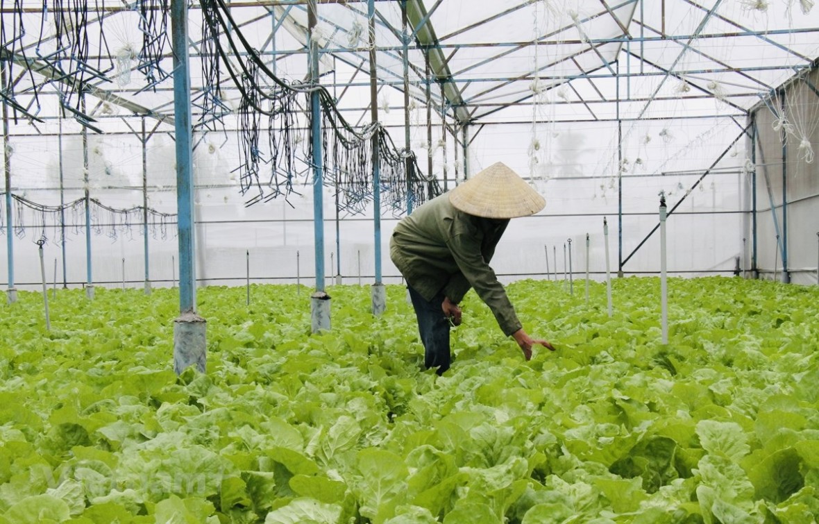 Đồng Nai tổ chức Đại hội Hội Nông dân lần thứ I nhiệm kỳ 2025–2030