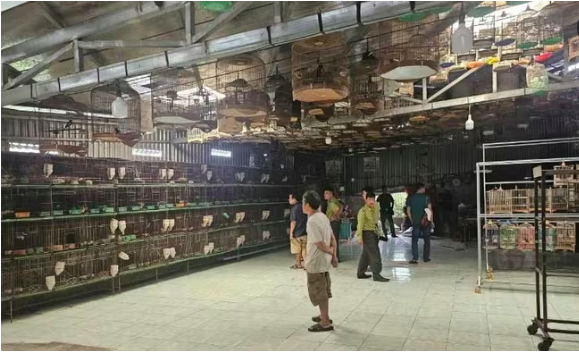 Cơ quan chức năng kiểm tra một cơ sở nuôi chim trái phép.