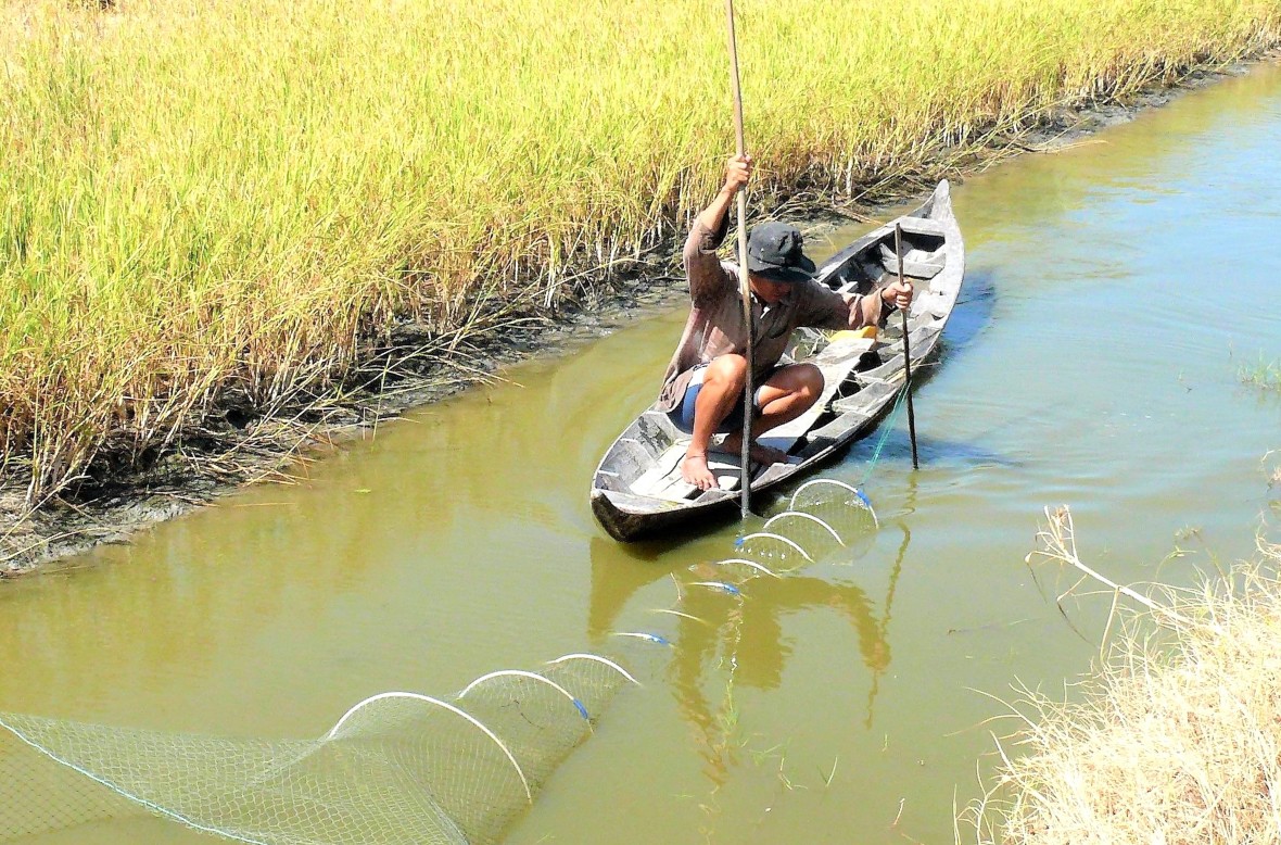 Tìm giải pháp sinh kế thích ứng và giảm thiểu rủi ro thiên tai trong cộng đồng ở Cà Mau