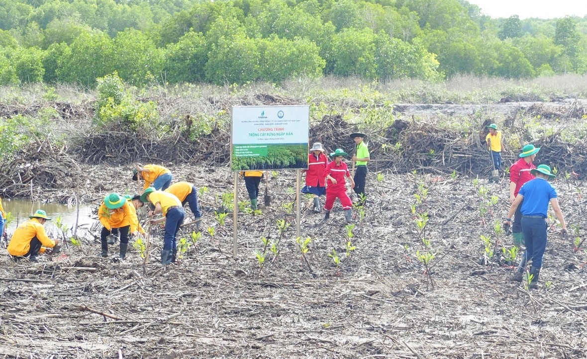 Tìm giải pháp sinh kế thích ứng và giảm thiểu rủi ro thiên tai trong cộng đồng ở Cà Mau