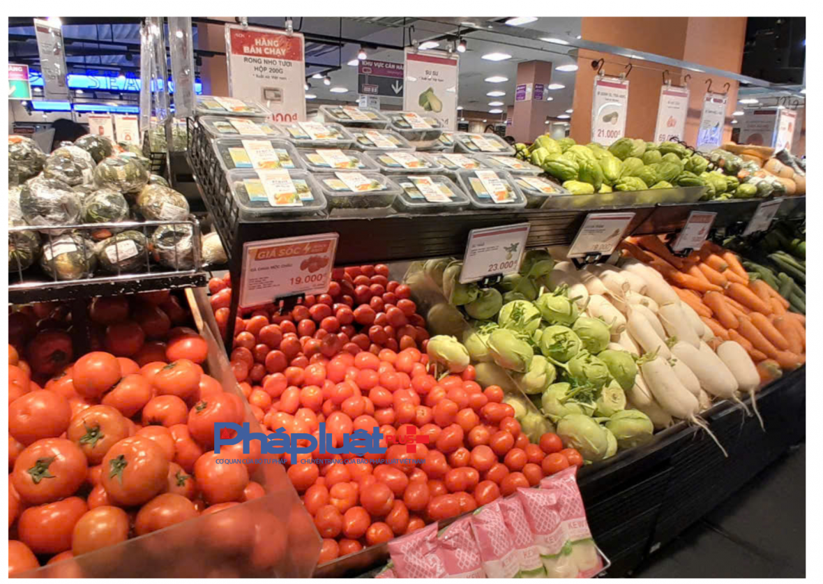 Hà Nội hỗ trợ doanh nghiệp tham gia trực tiếp mạng phân phối nước ngoài Hà Nội hỗ trợ doanh nghiệp tham gia trực tiếp mạng phân phối nước ngoài