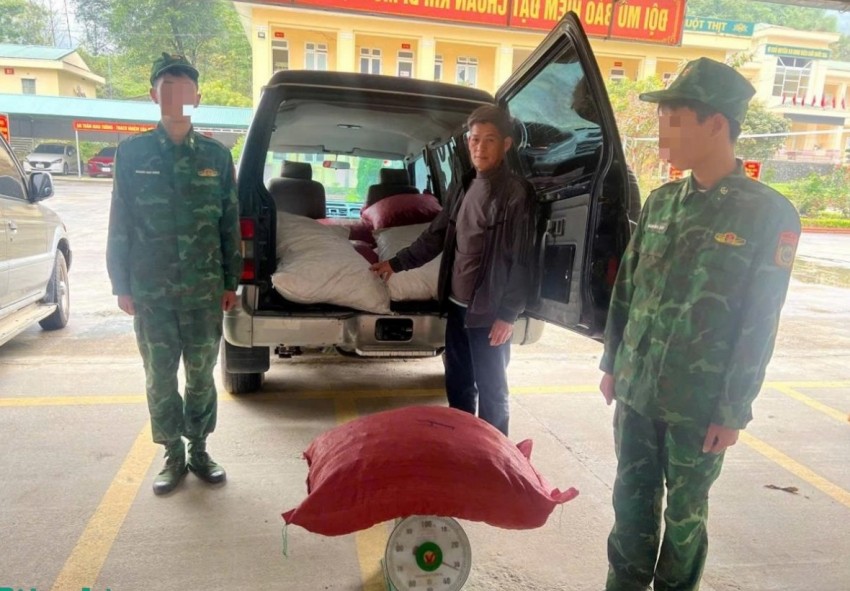 Phát hiện, thu giữ hơn 1,6 tấn cau khô không rõ nguồn gốc Phát hiện, thu giữ hơn 1,6 tấn cau khô không rõ nguồn gốc