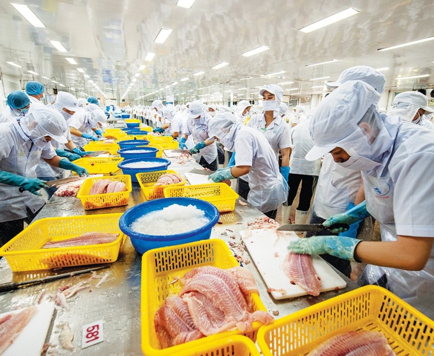 Xuất khẩu cá tra 11 tháng vượt mốc 2 tỷ USD Xuất khẩu cá tra 11 tháng vượt mốc 2 tỷ USD