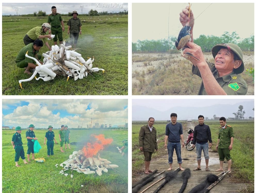 Kiểm soát, phát hiện, thu hồi công cụ dùng bẩy chim trời.