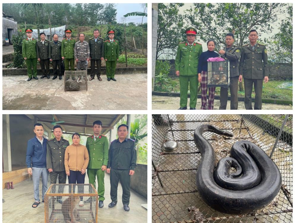Vận động người dâng giao nộp động vật hoang dã - Ảnh Công an Hà Tĩnh.
