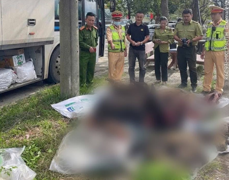 Phát hiện xe khách chở thịt nghi động vật hoang dã quý hiếm