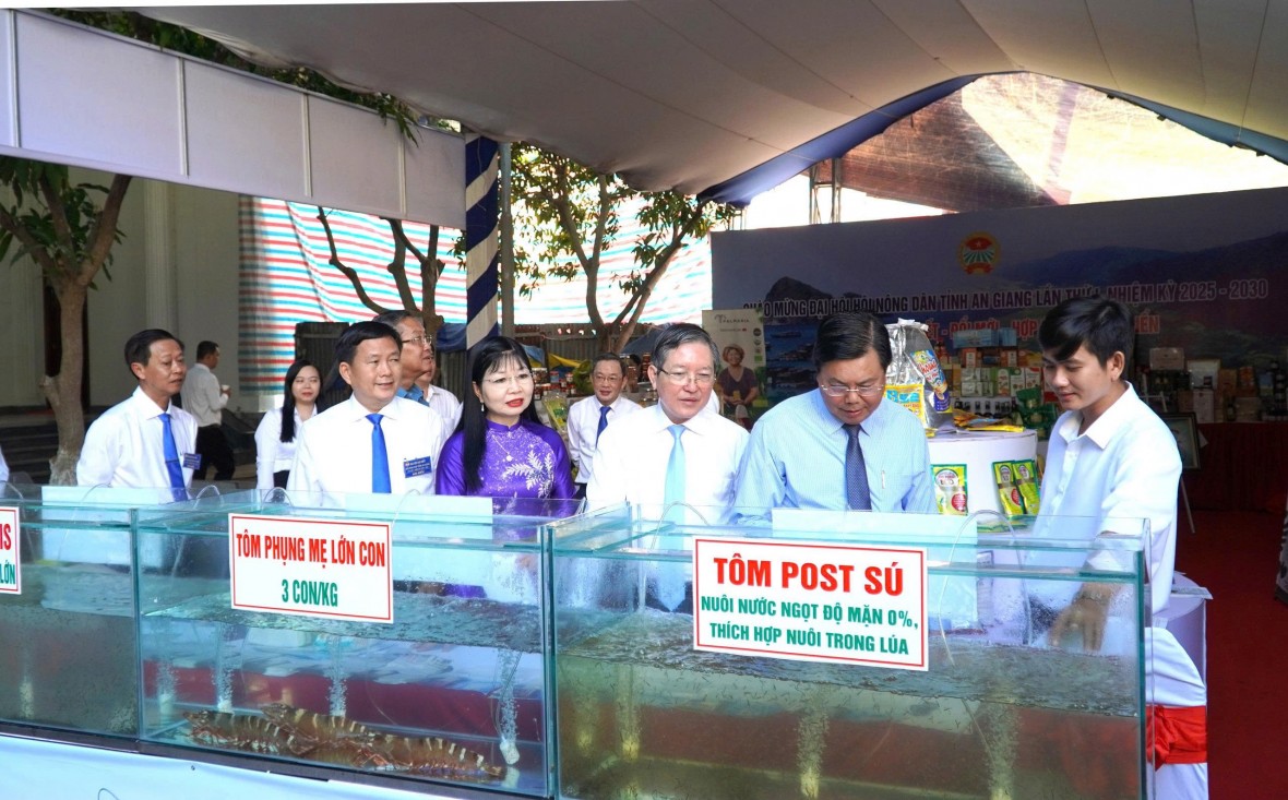 Hội Nông dân tỉnh An Giang phải là chủ thể, là trung tâm của quá trình phát triển nông nghiệp hiện đại trong kỷ nguyên số