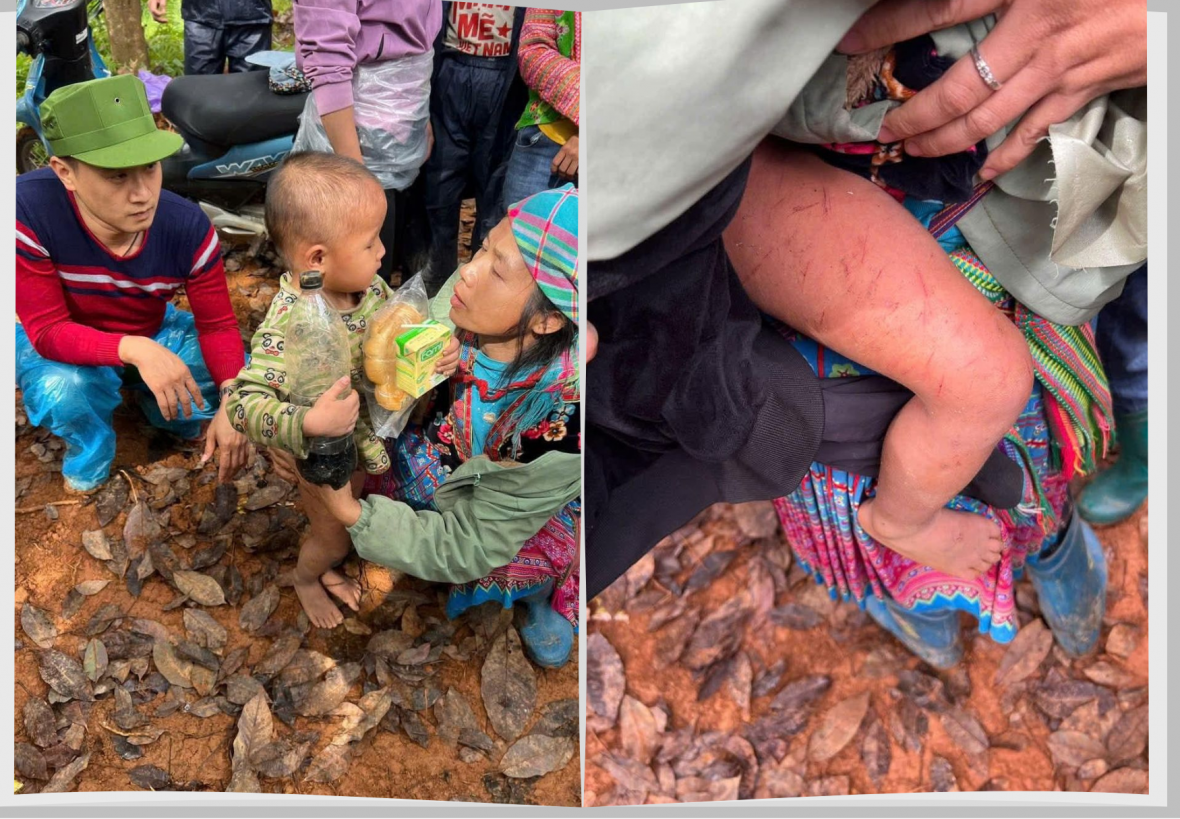 Tìm thấy bé trai 4 tuổi bị lạc qua đêm trong rừng Tìm thấy bé trai 4 tuổi bị lạc qua đêm trong rừng